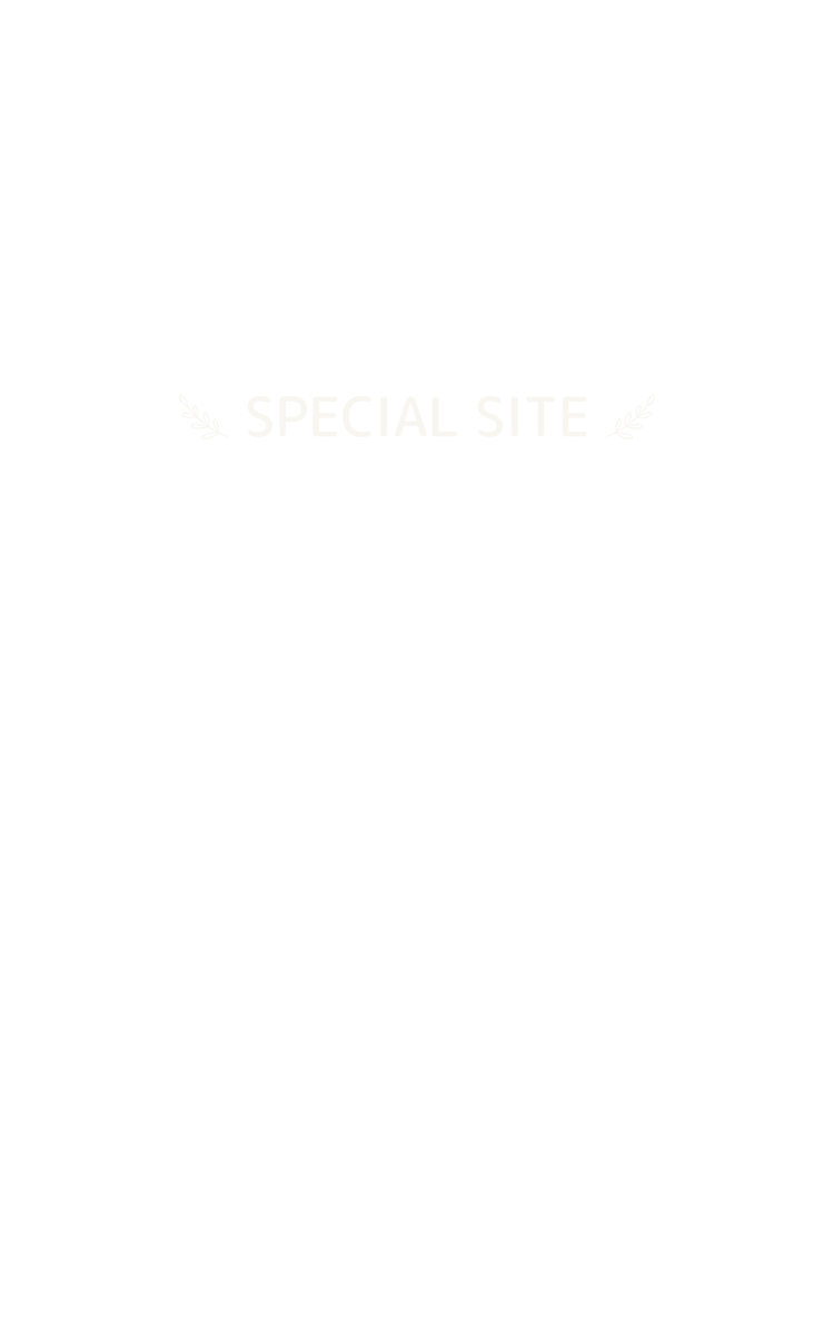 SPECIAL SITE